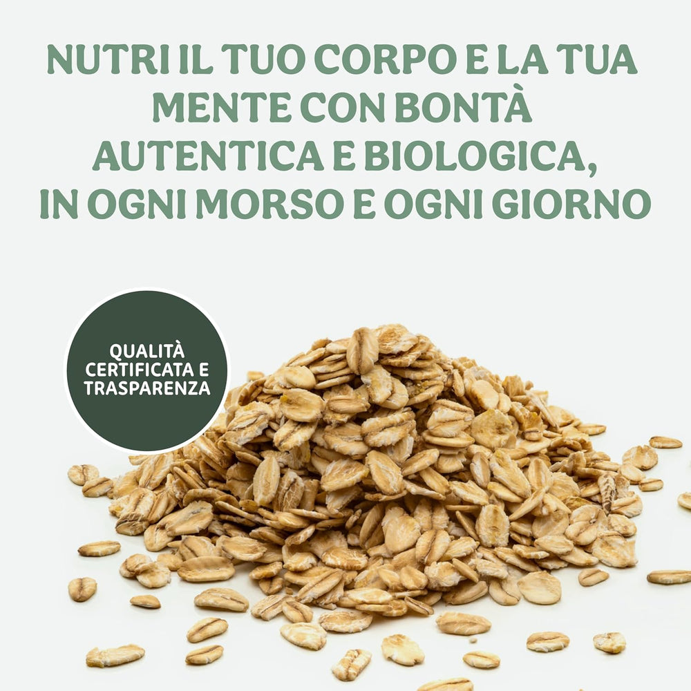 Cornflakes leggeri bio 500g per confezione