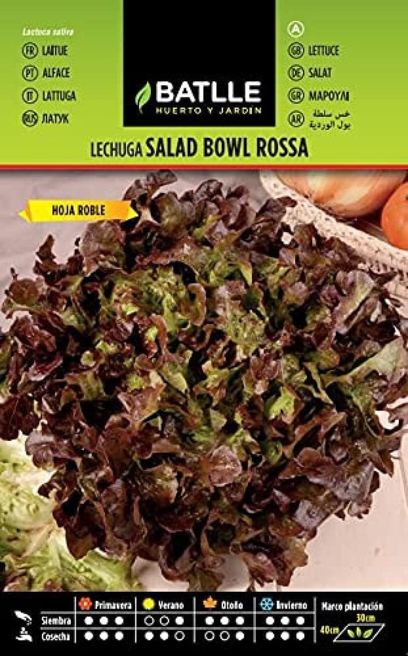 Batlle Gemüsesamen - Frühlings Kopfsalat Dorada De Primavera (6400 Samen)