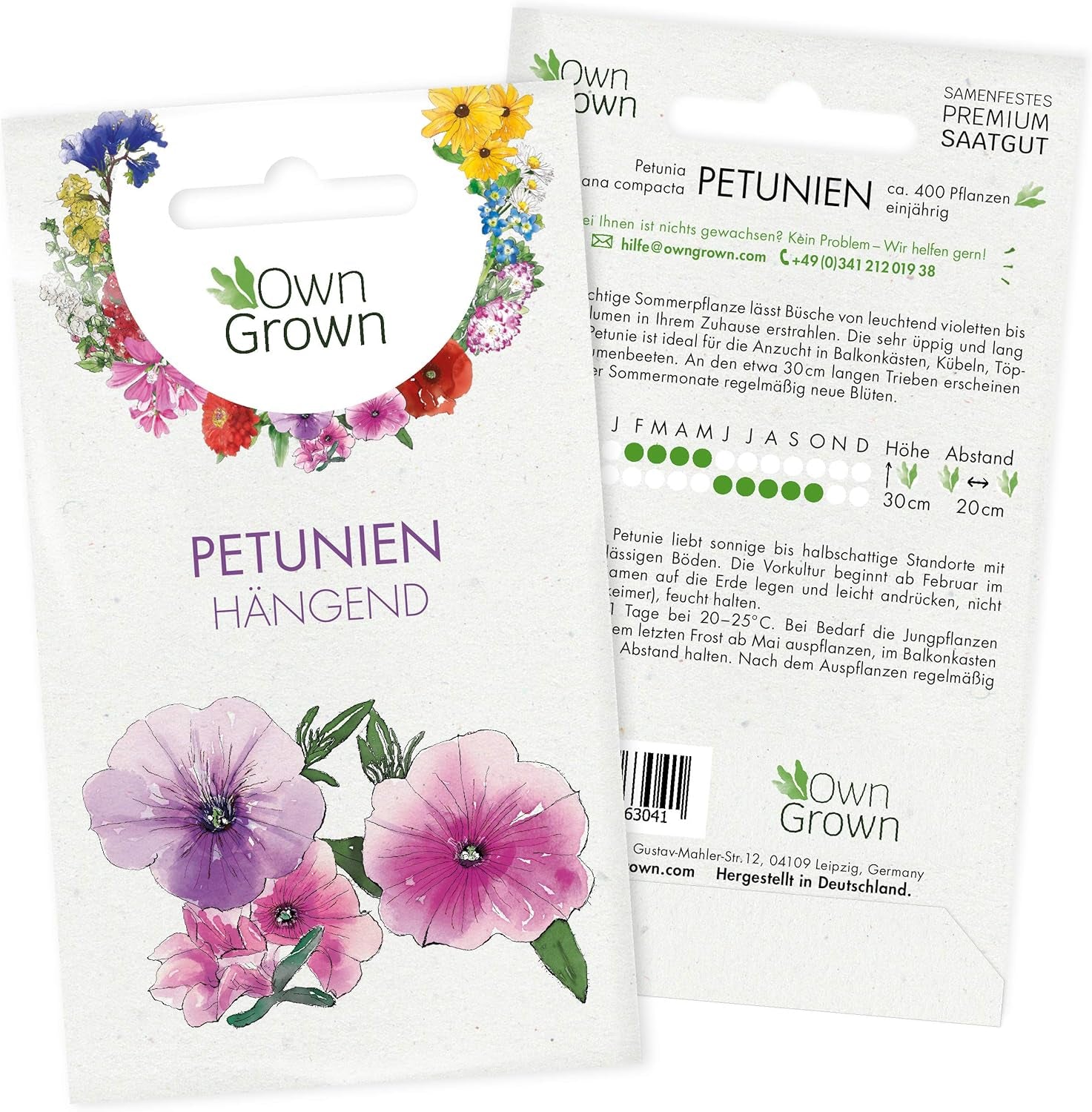 Semi di petunia: semi di petunia premium per circa 400 piante di petunia – Bellissimi semi di petunia per piante da balcone e da giardino – Semi di fiori – Semi di petunia rampicante – Fiori da balcone coltivati ​​in proprio