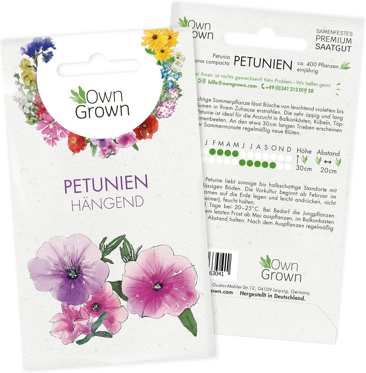 Semi di petunia: semi di petunia premium per circa 400 piante di petunia – Bellissimi semi di petunia per piante da balcone e da giardino – Semi di fiori – Semi di petunia rampicante – Fiori da balcone coltivati ​​in proprio