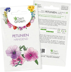 Semi di petunia: semi di petunia premium per circa 400 piante di petunia – Bellissimi semi di petunia per piante da balcone e da giardino – Semi di fiori – Semi di petunia rampicante – Fiori da balcone coltivati ​​in proprio