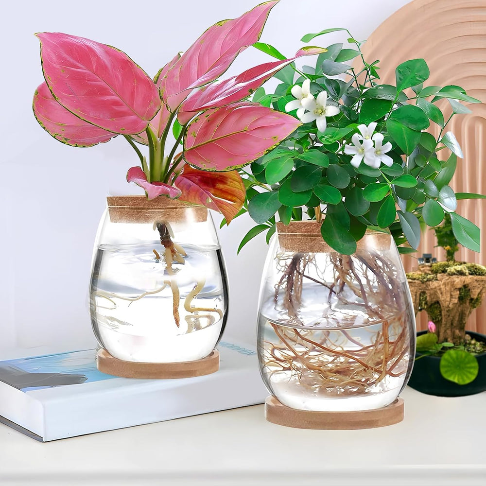 Stazione di coltivazione idroponica per piante 12x11 cm Vaso per semi di avocado Fioriera in vetro Vaso in vetro idroponico per piante acquatiche o fiori Decorazioni per la tavola da scrivania 2 pezzi