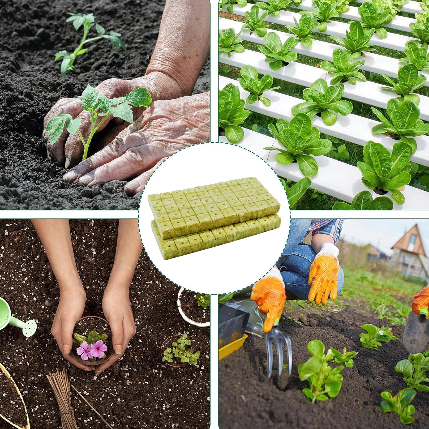 100 pezzi Steinwolle Anzucht Würfel 2.5x2.5x2.5CM Rockwool Cube Anzuchtmatte Steinwolle Anbau Hydrokultur Umpflanzen für Bodenlose Anzucht Setzlinge Stecklinge Klonpflanzen