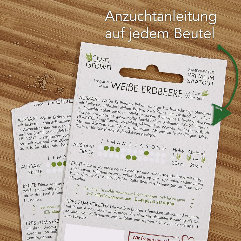 Set di semi di frutta: semi da giardino premium con 8 varietà di piante da frutto per giardino e balcone - Semi di anguria, semi di fragola, uva spina, rabarbaro e altro ancora - Set regalo di semi di frutta di OwnGrown