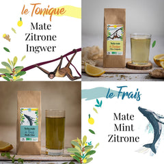 SET CADOU ORIGEENS CEAI MATE BIO X4 I Yerba Mate Bio 4X80G I Set ceai Yerba Mate, idee cadou