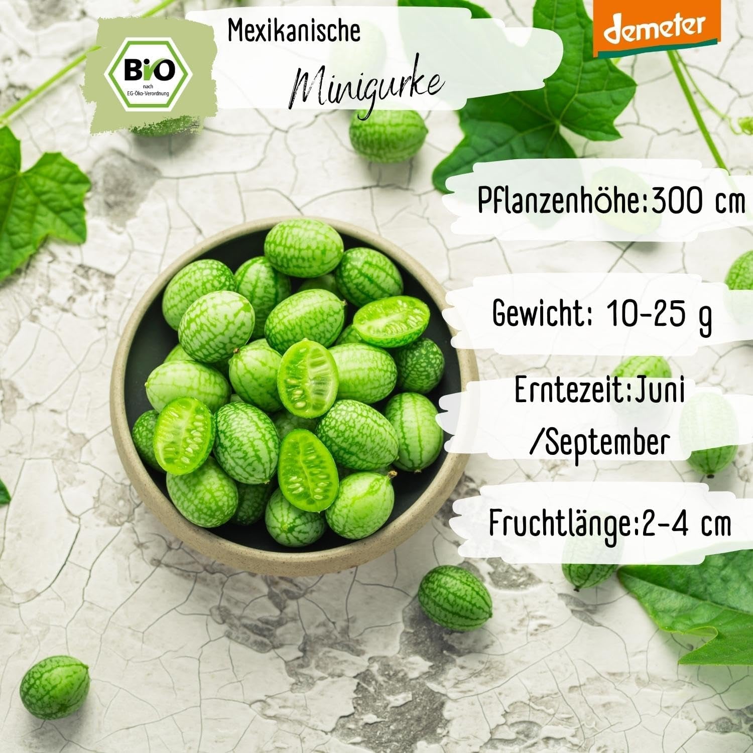 Semi di cetriolo messicano mini biologici, 10 semi di cetriolo snack, alto tasso di germinazione, certificati Demeter e impollinati aperta | LOVEPLANTS Semi di ortaggi per aiuola rialzata da giardino sul balcone - Varietà di ortaggi cimelio