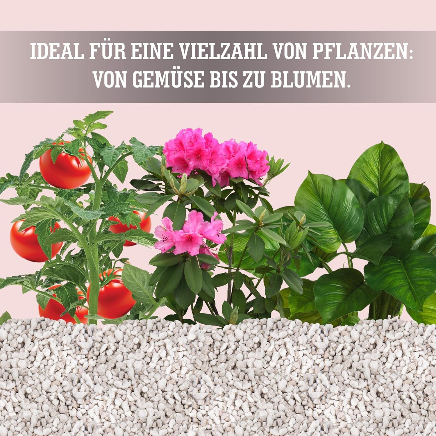 LERAVA® Perlite for Plants (5L) – Perlite a grana grossa per il miglioramento del suolo – Garantisce drenaggio e aerazione ottimali – Additivo naturale per terreno e coltura idroponica – Granuli per piante