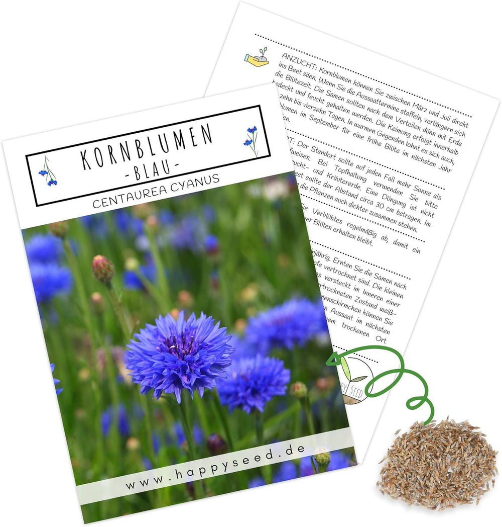 Semi di Centaurea cyanus - Fiori belli e vivaci con un lungo periodo di fioritura per un prato fiorito colorato (Mix, 1000 semi, 80 cm)