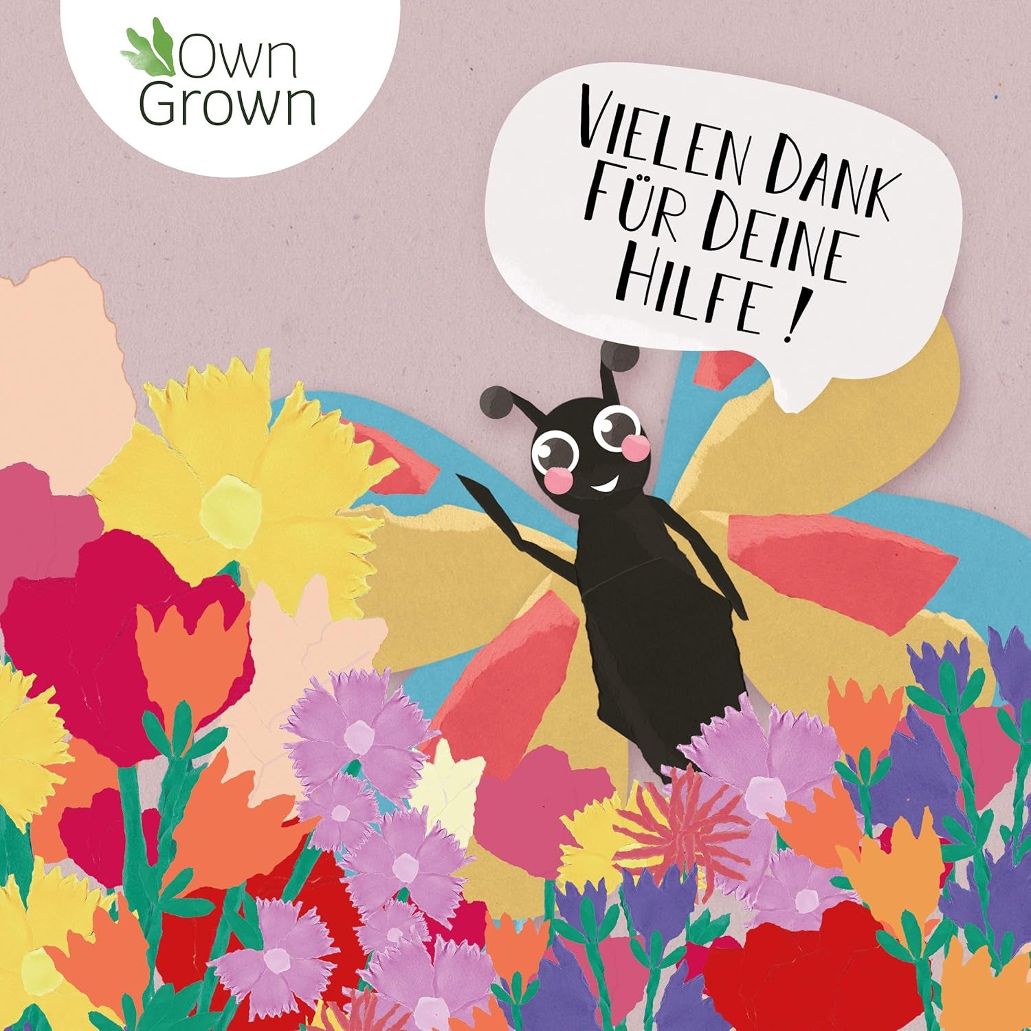 Mix di fiori Butterfly Meeting: 100 g di semi di fiori di farfalla premium - Semi di api adatti agli insetti, semi di fiori perenni e annuali per prati - Semi di fiori di campo di OwnGrown