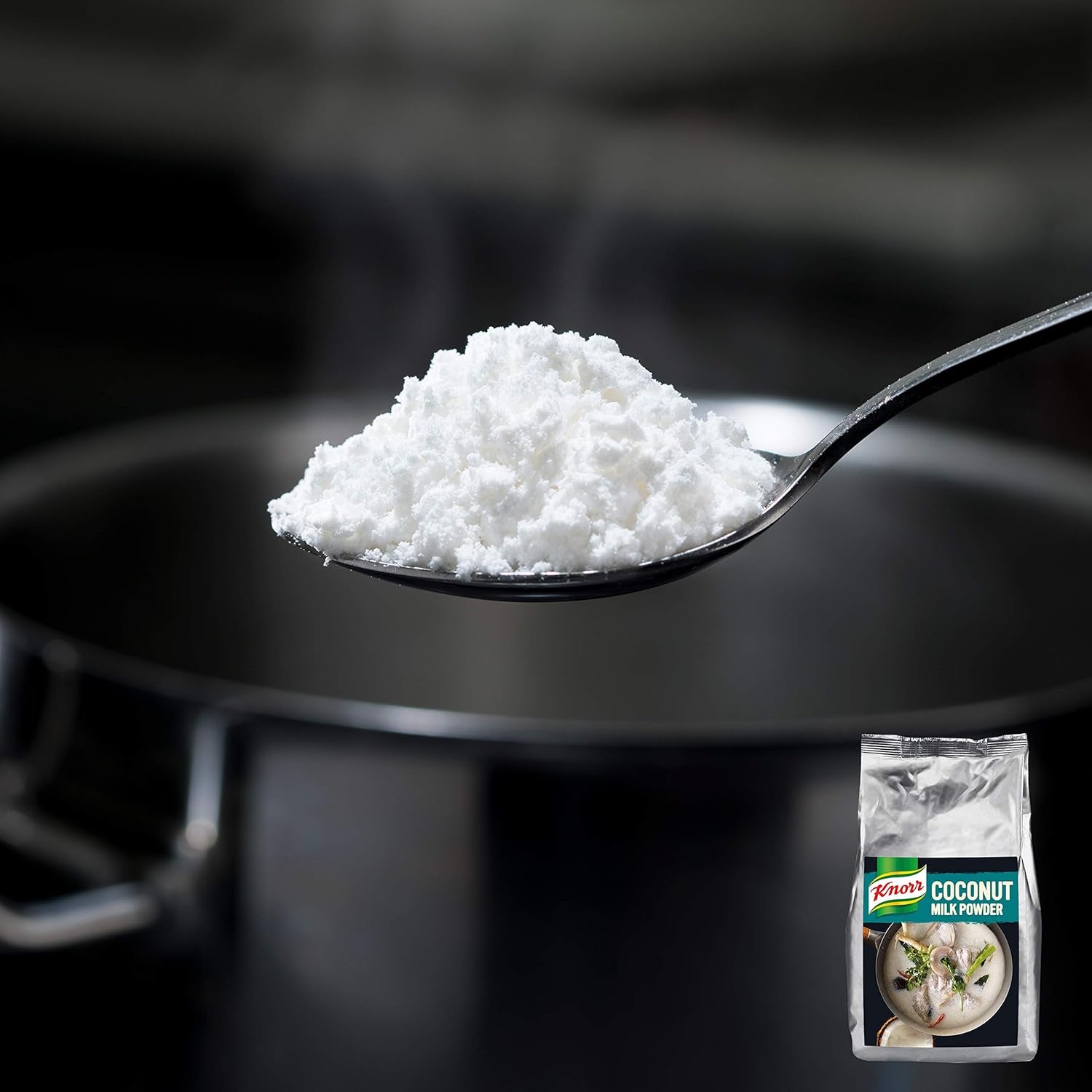 Knorr Kokosmilch Pulver (latte in polvere aus 20 frischen Kokosnüssen, ergibt 6.6 Liter Kokosmilch) 1er Pack (1 x 1 kg)