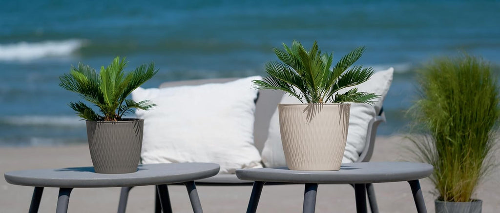 Set de 5 ghivece maro, diametru 16 cm – Ghivece robuste din plastic – Jardinieră decorativă cu opțiune de drenaj – Ghiveci elegant pentru interior și exterior