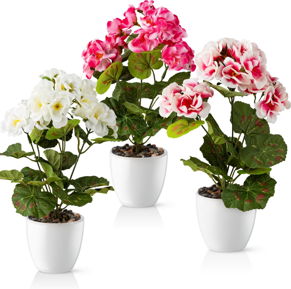 PASCH® Begonie Im Hochglanz-Keramiktopf | Kunstblumen Im Topf | Künstliche Blumen Wie Echt | Fake Blumen | Kunstblumen Wie Echt (Japanische Begonie, 3 Stück, 16Cm)