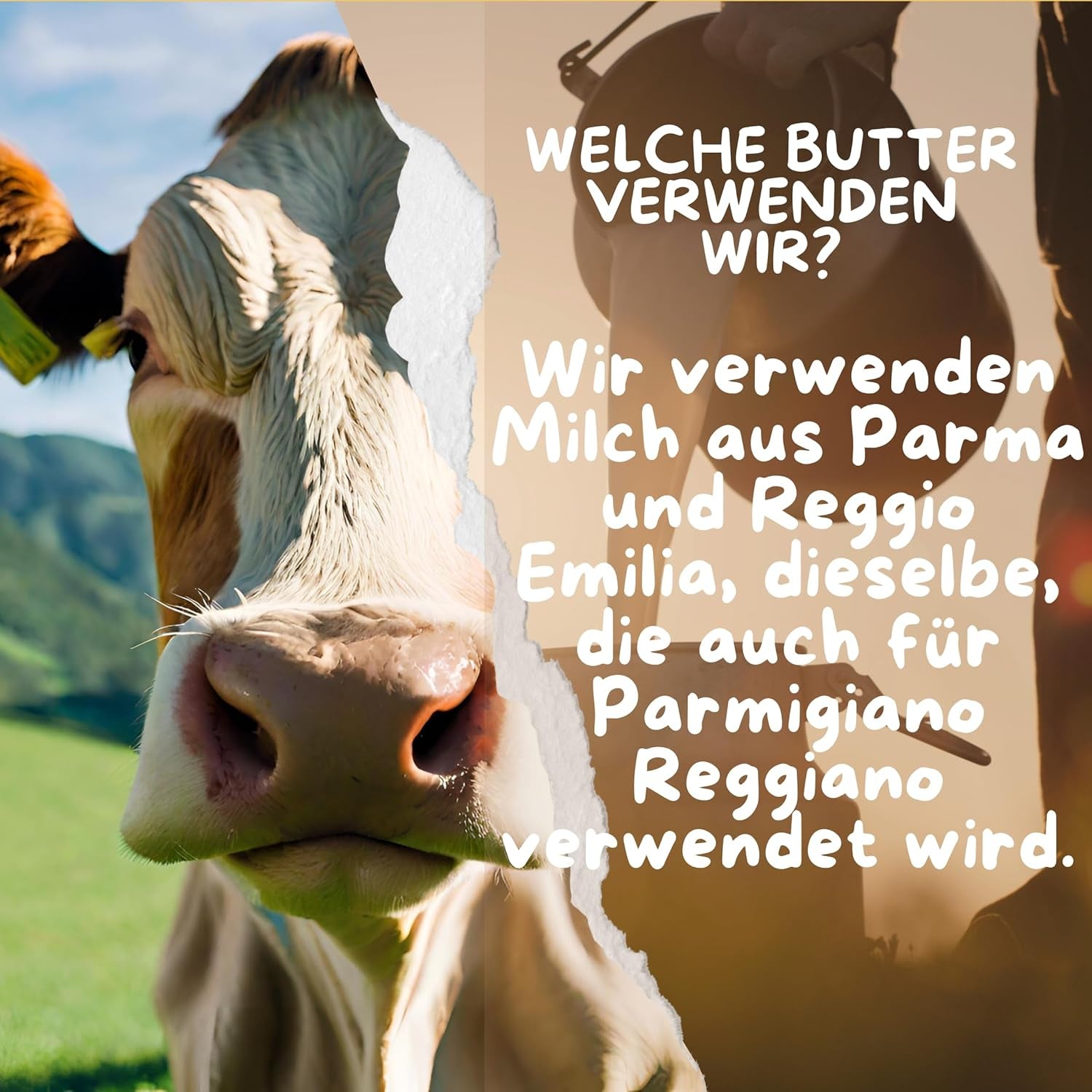 Cibo Bio Ghee 500g – Milk aus Parma und Reggio Emilia – Hergestellt in Italien – Weidekühe – Rauchpunkt 250°C – Aus Centrifugensahne