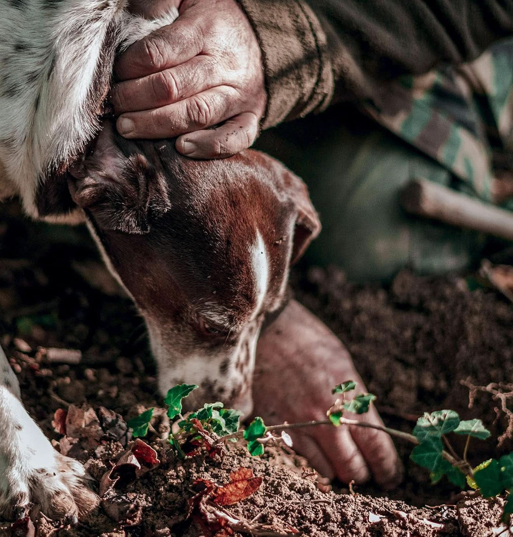 - Aroma concentrato di tartufo nero 30 ml, uso professionale Arome Naty Shop