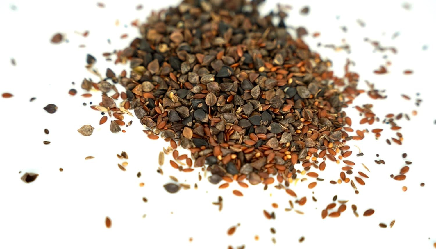 Flowerpower | Blumenmischung Mehrjährig Winterhart | Wildblumensamen Für Eine Blütenreiche Blumenwiese | Bienenfreundliche Blumensamen Für Garten & Balkon | 250G Für 65 M²