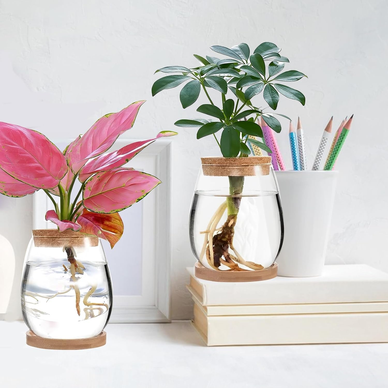 Stazione di coltivazione idroponica per piante 12x11 cm Vaso per semi di avocado Fioriera in vetro Vaso in vetro idroponico per piante acquatiche o fiori Decorazioni per la tavola da scrivania 2 pezzi