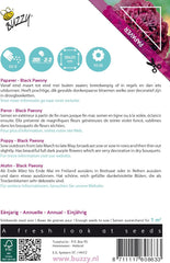 Fiori di papavero ronzio, papavero nero Peony