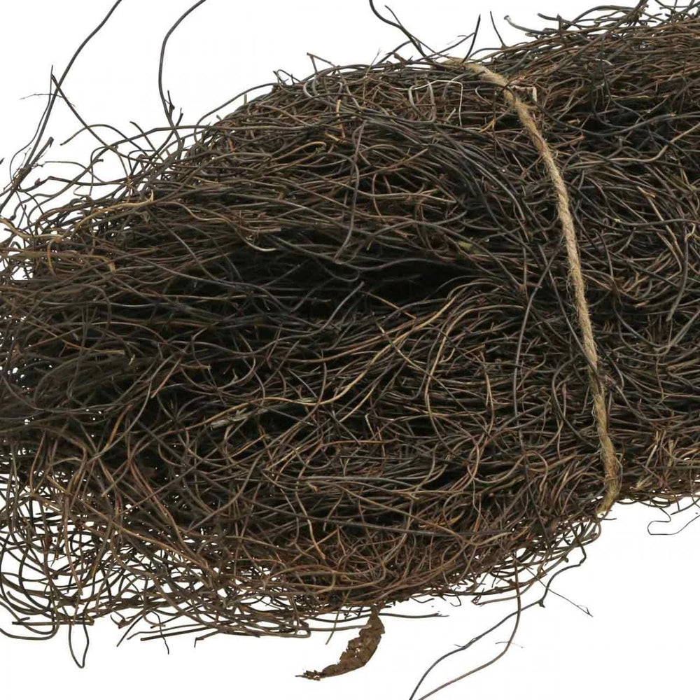 Mühlenbeckia Rebenmaterial Natur Ca. 1Kg Für Floristische Dekorationen Und Bastelarbeiten
