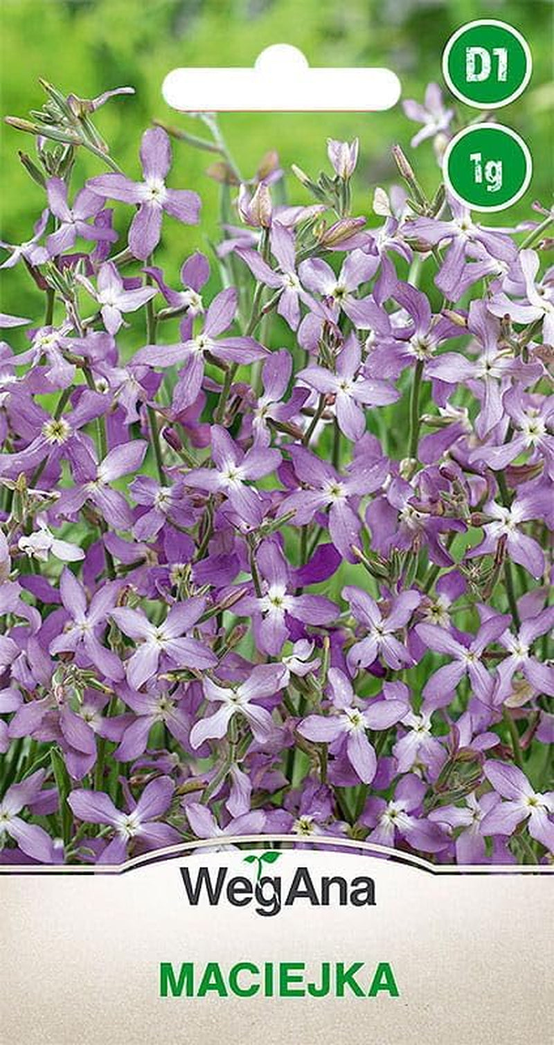 Semi Cosmos Sensation Mix 1g, Cosmos Mix Fiori estivi, Piante da giardino Piante da balcone, Semi di fiori