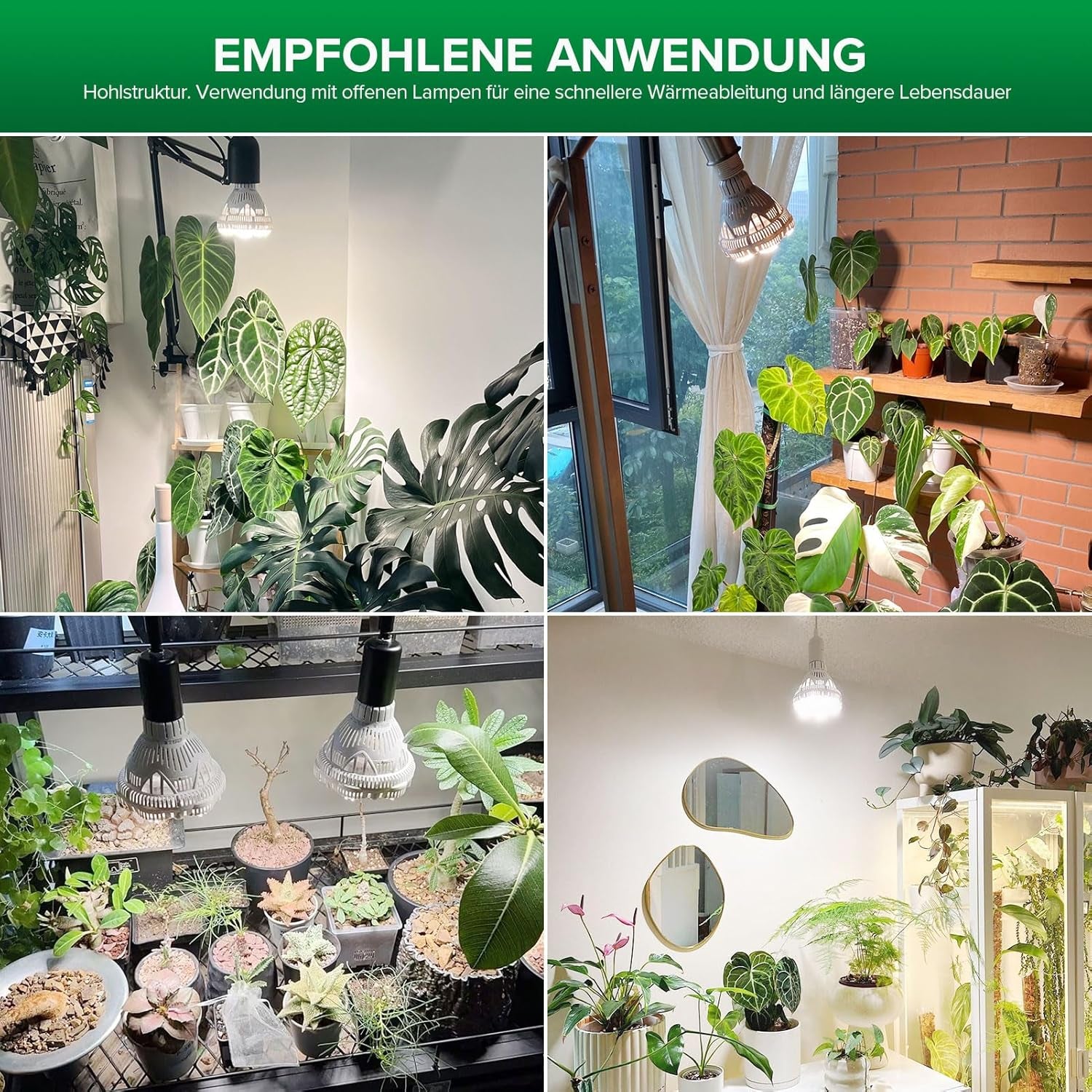 SANSI 36W Spettro completo E27 Pianta da interno LED Coltiva la luce Alta PPFD Lampade per coltivazione per serra Giardino Fiore Verdura idroponica Dimensioni Ø11,5 * 13,3 cm