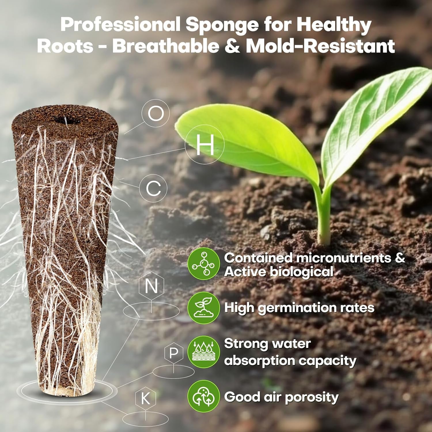 Set di capsule di semi con sistema di coltivazione idroponica per giardinaggio indoor da 40 pezzi - Normale