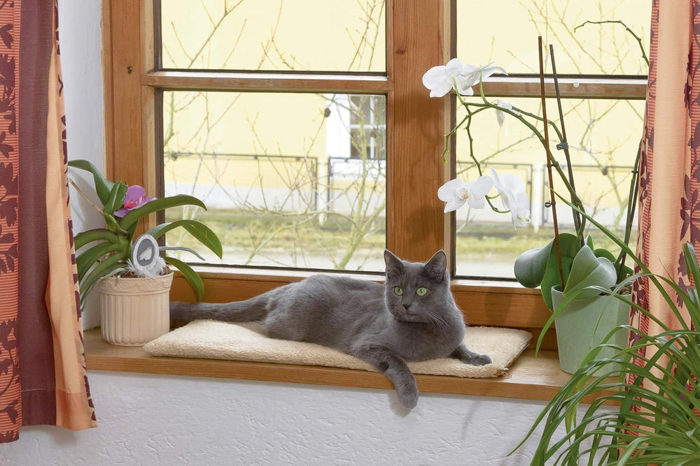 Pături & Mobilier, Animale de companie, Pisici, Paturi pentru pisici, Covorase pentru zgarieturi, Pisici - culcusuri, saltele