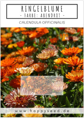 Semi di calendula (Calendula officinalis) - Pianta medicinale versatile con fiori commestibili e ideale per un prato fiorito colorato (Abendrot)