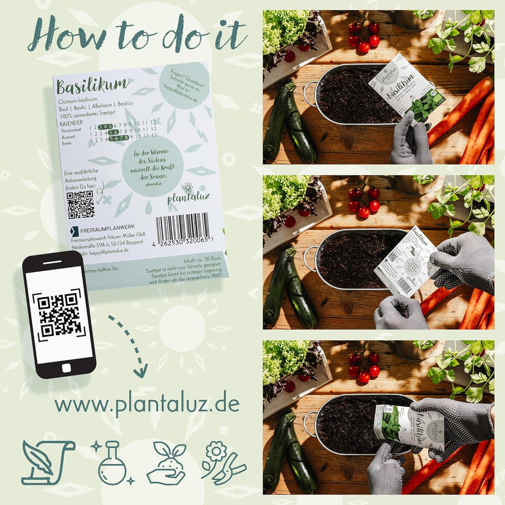 Set di semi biologici premium Plantaluz P03 – Set di semi di piante culinarie e medicinali per giardino, balcone e interni – incl. Bastoncini per piantare FSC – Semi biologici non impollinati, non trattati e senza OGM