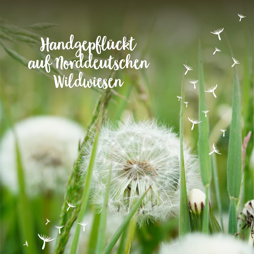 Die Stadtgärtner – 3X Wunscherfüller I Echte Pusteblume Im Glas I Ewig Haltbar I Perfekte Geschenkidee Für Jeden Anlass I Geschenke Für Frauen & Freundin
