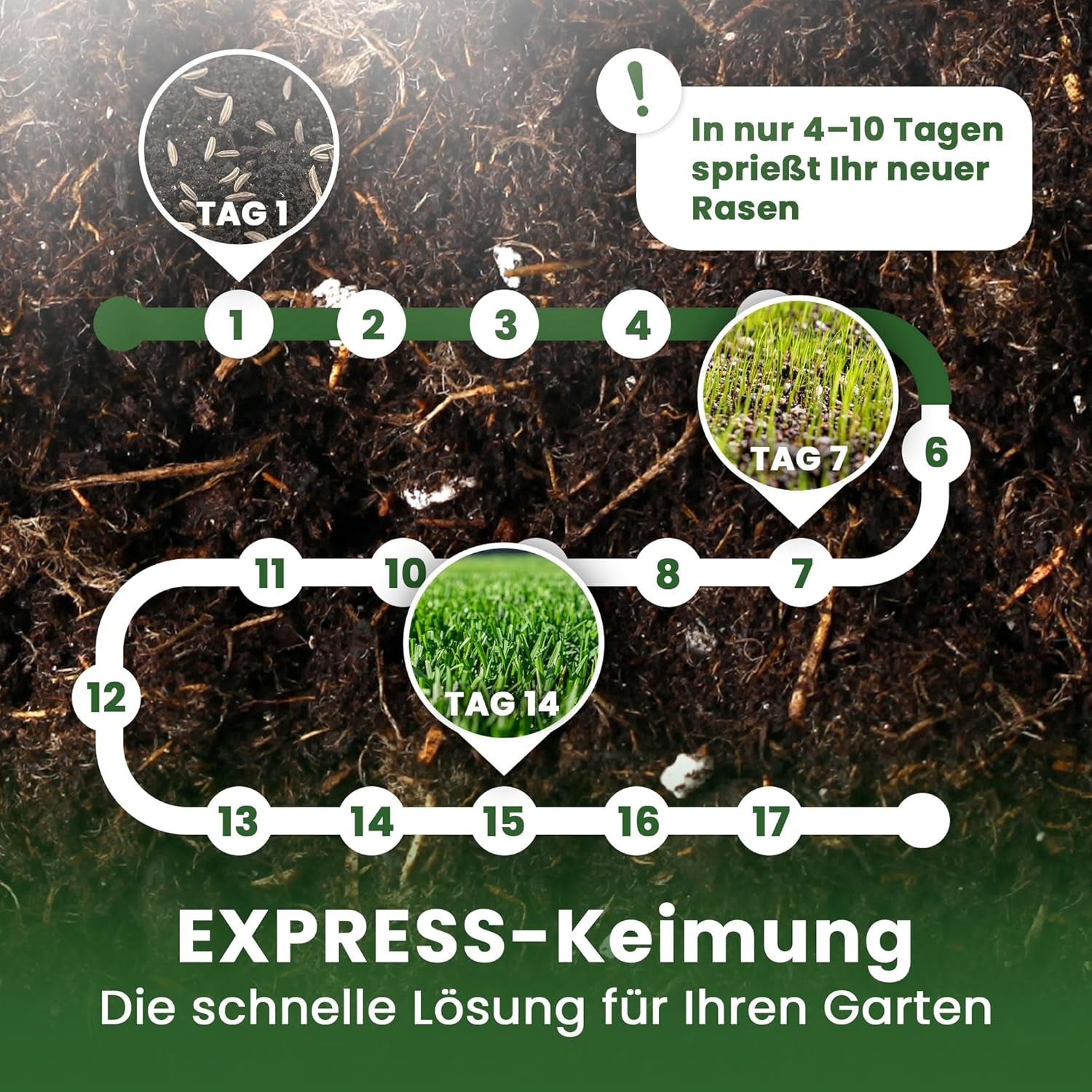 LERAVA® EXPRESS Rasensamen Schnellkeimend Frühjahr (30M²) - Premium Samen Für Trockenrasen & Schattenrasen - Rasensamen Nachsaat Für Lückenlosen Rasen - Grassamen Schnellkeimend - Rasensaat Turbo -