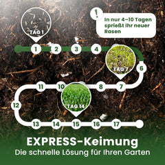 LERAVA® EXPRESS Rasensamen Schnellkeimend Frühjahr (30M²) - Premium Samen Für Trockenrasen & Schattenrasen - Rasensamen Nachsaat Für Lückenlosen Rasen - Grassamen Schnellkeimend - Rasensaat Turbo -