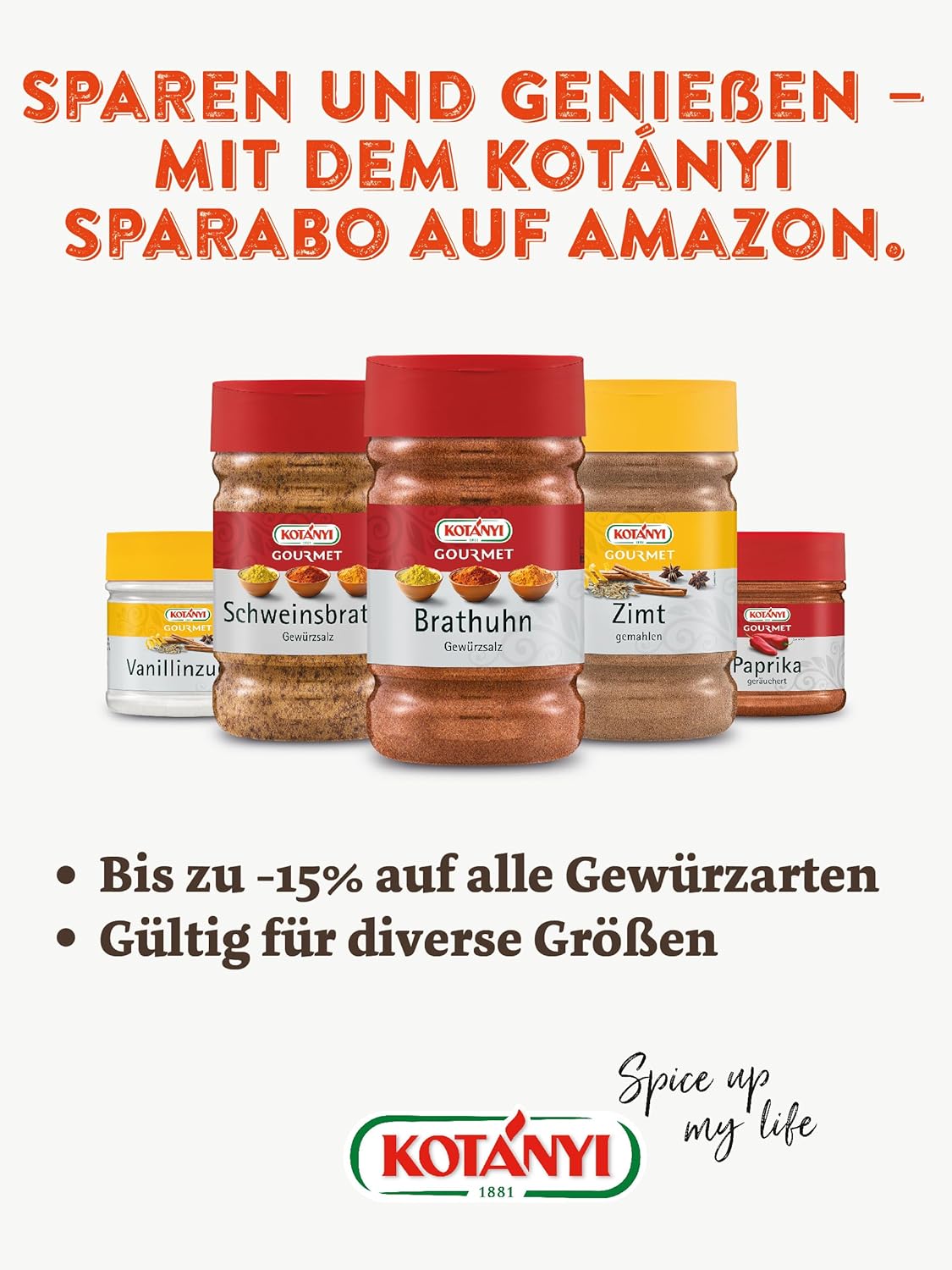 Kotányi Magic Dust Grill Condimento per grigliare - Sapore perfetto