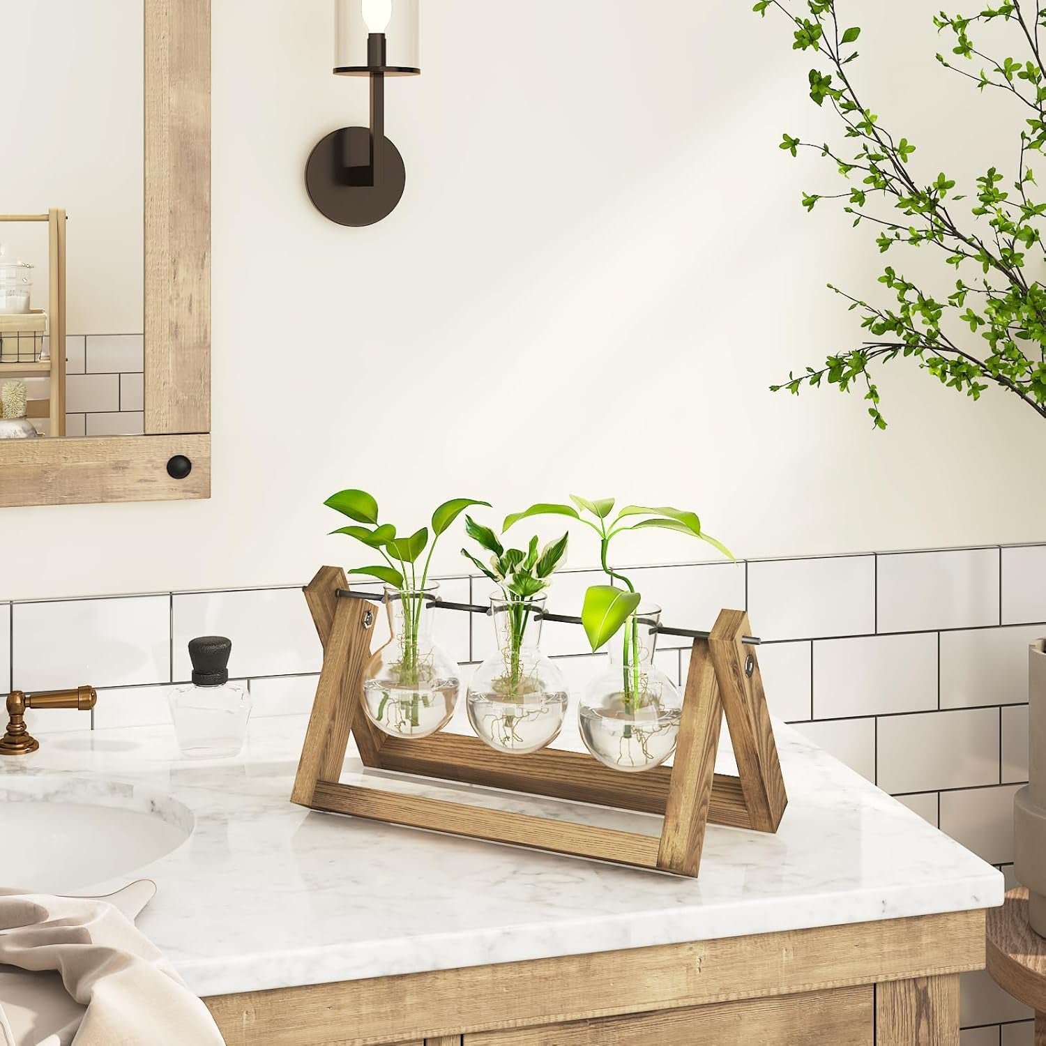 Stazione di propagazione idroponica Bamworld con supporto in legno - 3 vasi in vetro per la coltivazione di piante acquatiche e la decorazione della casa