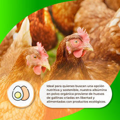 Sermand Nutrition Albumina d'uovo 100% in polvere Senza glutine Senza lattosio