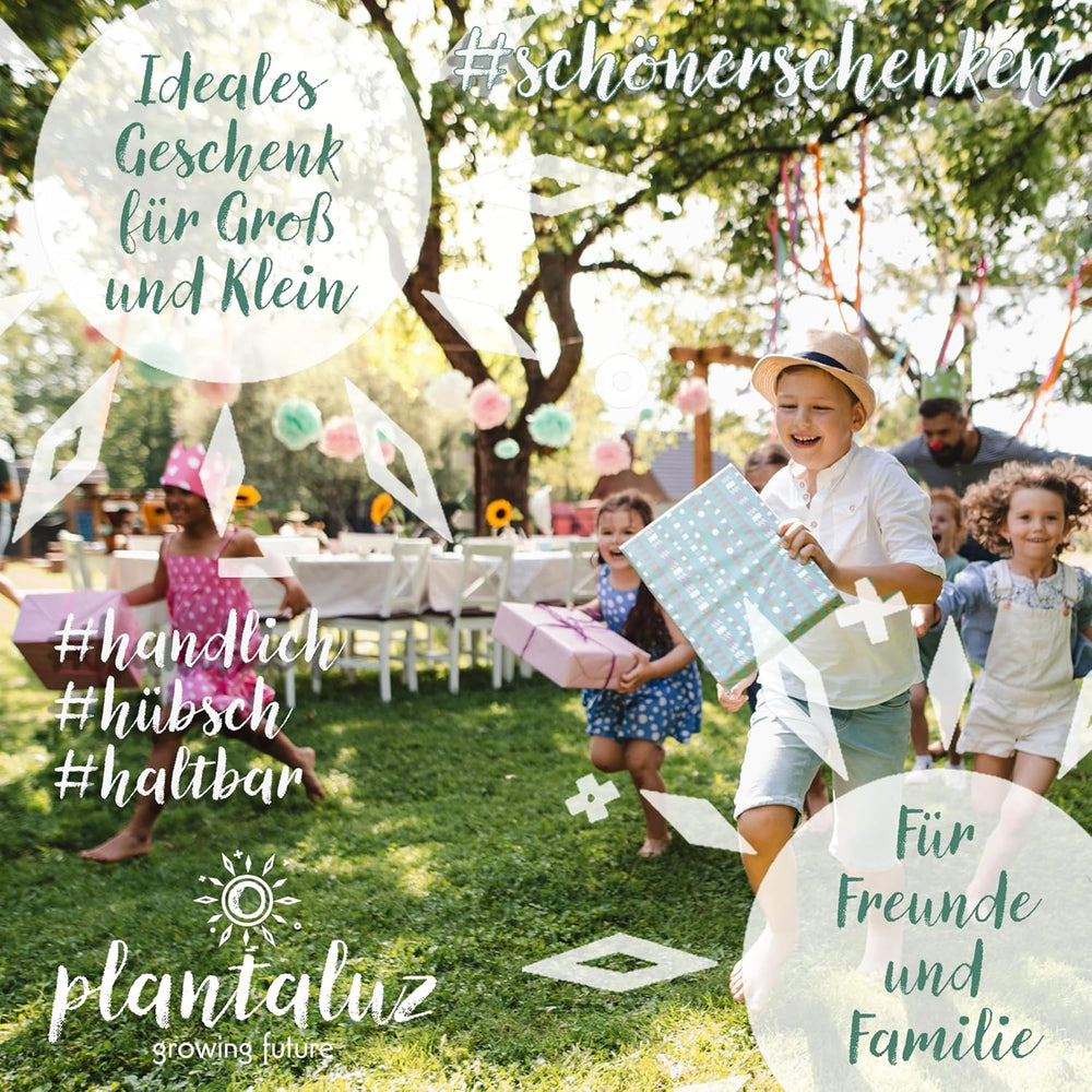 Set di semi biologici premium Plantaluz P03 – Set di semi di piante culinarie e medicinali per giardino, balcone e interni – incl. Bastoncini per piantare FSC – Semi biologici non impollinati, non trattati e senza OGM