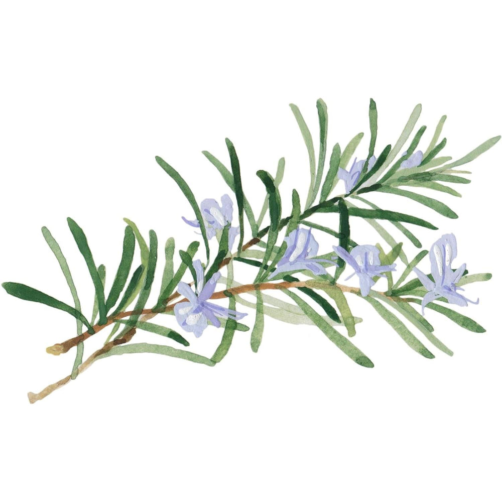 WELEDA Organic Skin Food Body Butter, Crema corpo unisex per la cura della pelle secca e ruvida, 150 ml Doccia e bagno Naty Shop