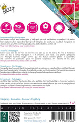 Fiori rampicanti ronzanti, drago rosso Asarina