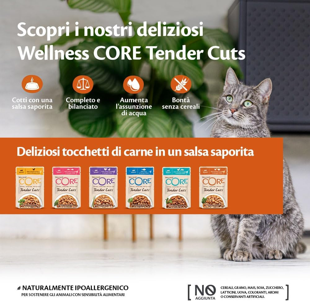 Wellness CORE Tender Cuts 6 x 85g, Mix Selecție de Pui – Hrană umedă pentru pisici, bucăți fragede în sos, fără cereale, naturală, hipoalergenică, bogată în proteine, conținut ridicat de carne