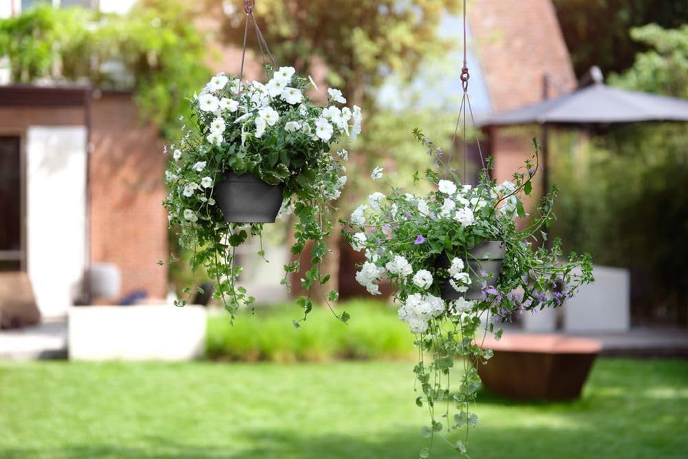 elho Vibia Campana Jardinieră suspendată 26 - Ghiveci suspendat pentru flori - Ghiveci pentru plante de exterior - Ø 26,0 x H 18,4 cm - Negru/Antracit