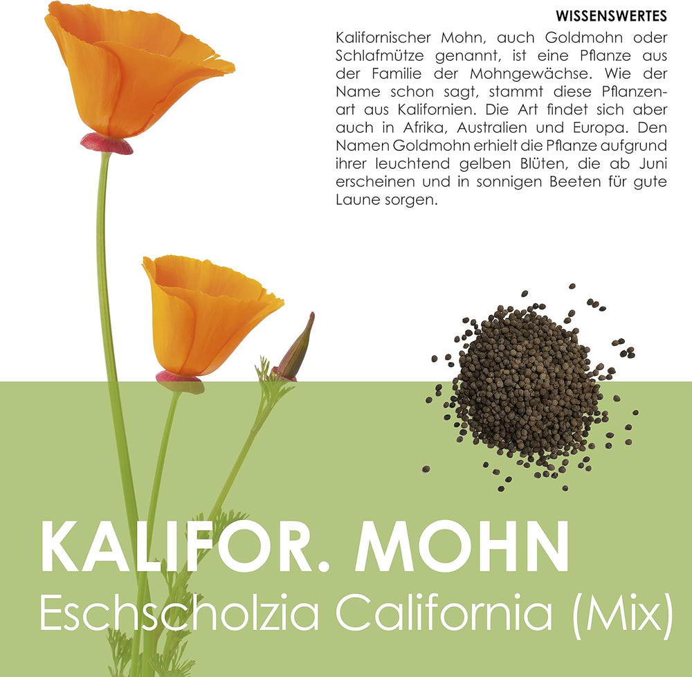 Mix di semi di papavero della California (Eschscholzia californica) - Bellissimi papaveri in fiore con un lungo periodo di fioritura per un prato fiorito colorato (papavero della California)