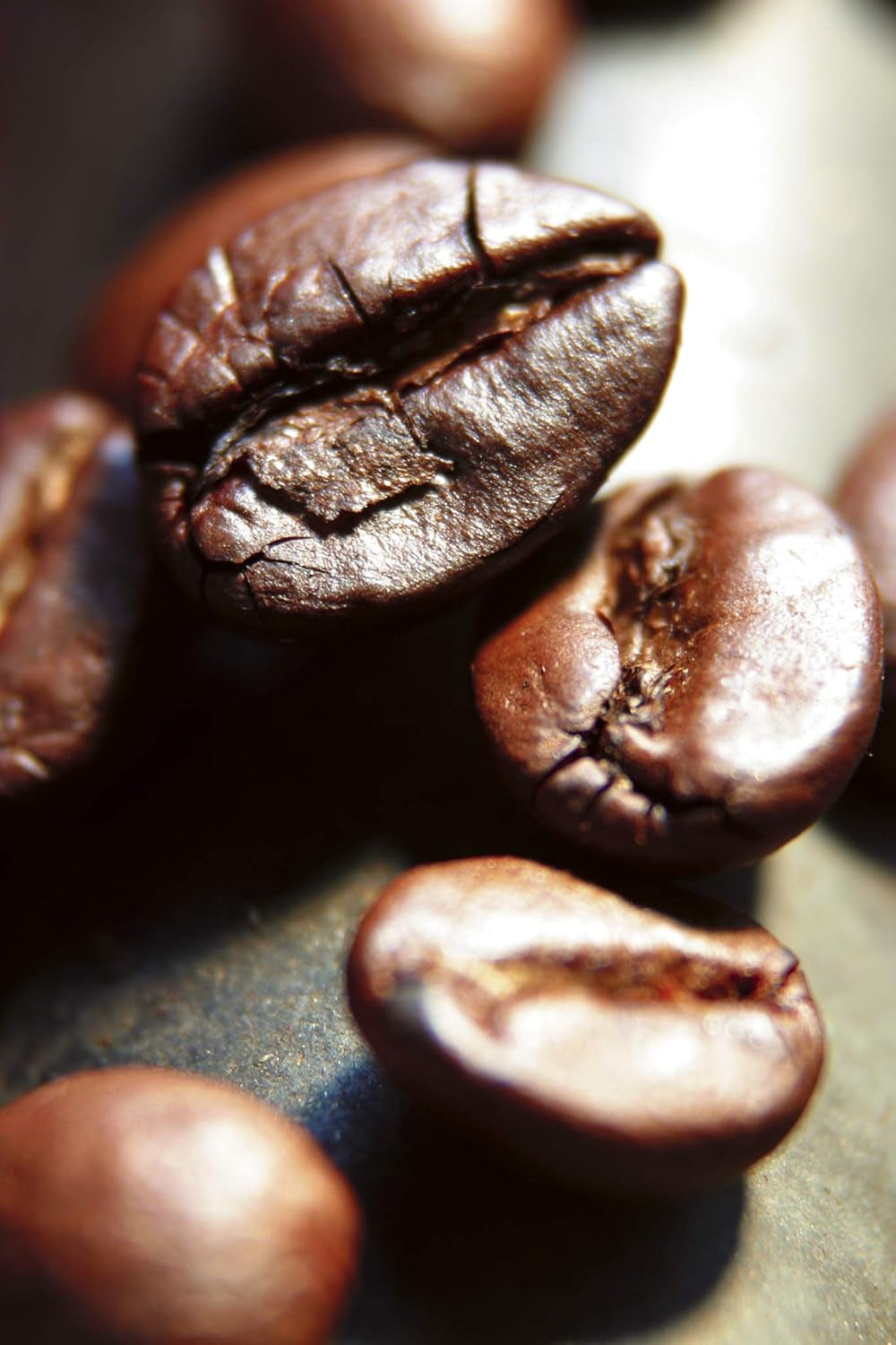 Caffè Corsini - Kaffeebohnen 3x250g Compagnia Dell'Arabica Indien Mousson Malabar, Einzelner Ursprung, Würzig, 750g Gesamt