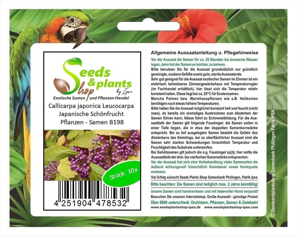 Stk - 10X Callicarpa Japonica Leucocarpa Japanische Schönfrucht Pflanzen - Samen B198 -