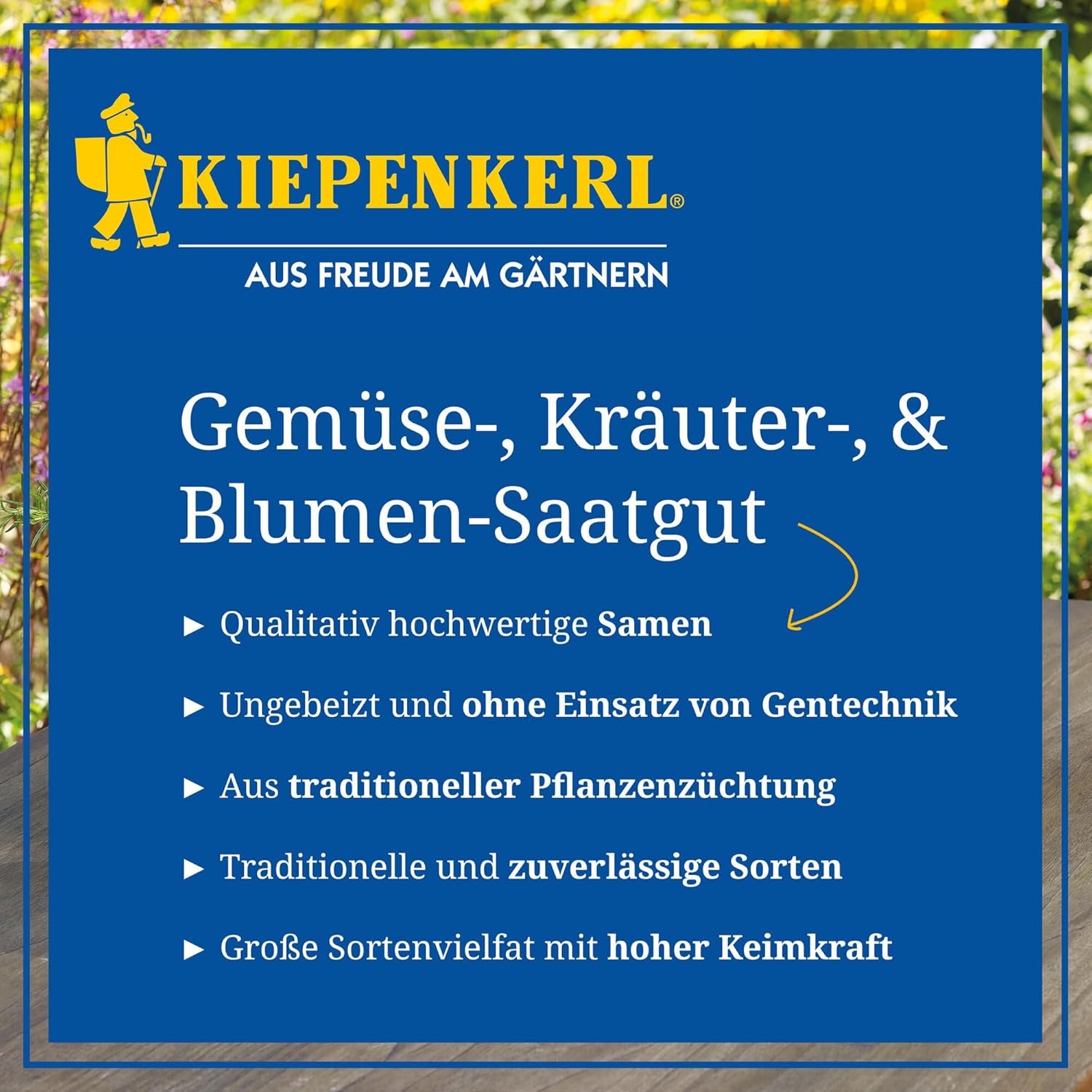 Zinnien Dahlienblütige Mischung