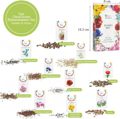 Semi di fiori per il giardino e il balcone: 10 varietà di semi di fiori premium come set di semi per piante - semi di fiori per balcone - semi di fiori selvatici per balcone e giardino di OwnGrown