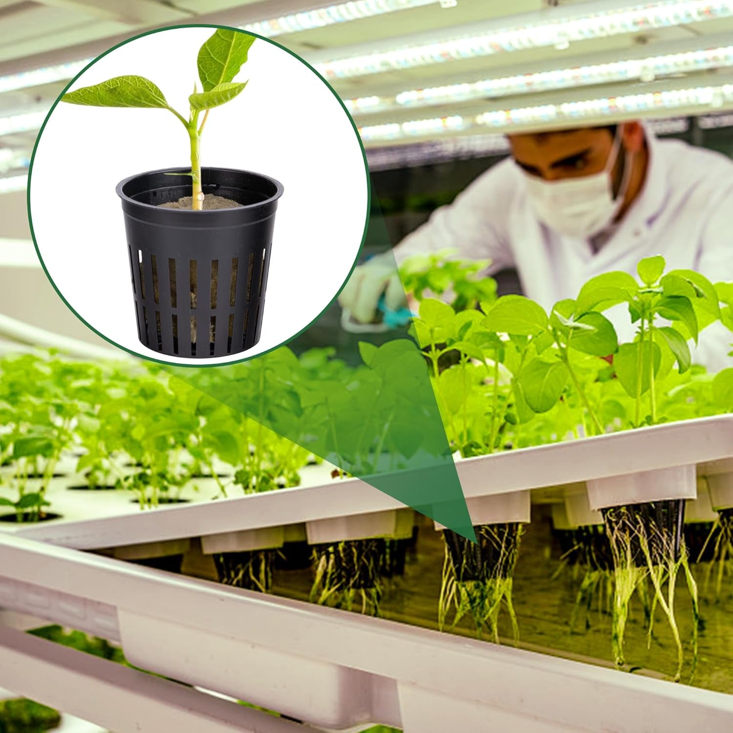 Kit rete Hydrokultur Pflanzen da 76 pezzi -20 pezzi 2 pollici (5 cm)-Topfbecher mit geschlitztem Netz, 36 pezzi Steinwolle Anzucht, 20 pezzi articolo Selbstbewässernde Dochtschnur aus Baumwolle für Hydrokultur