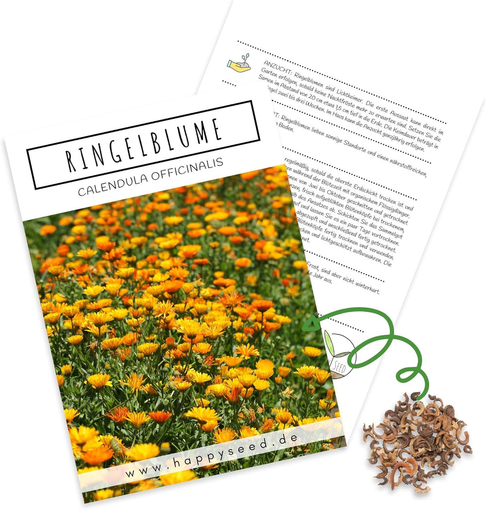 Semi di calendula (Calendula officinalis) - Pianta medicinale versatile con fiori commestibili e ideale per un prato fiorito colorato (Abendrot)