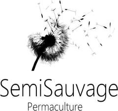 25 semi per Papes - Pianta da fiore da giardino antico - Semi riproducibili per agricoltori, semi-selvatici