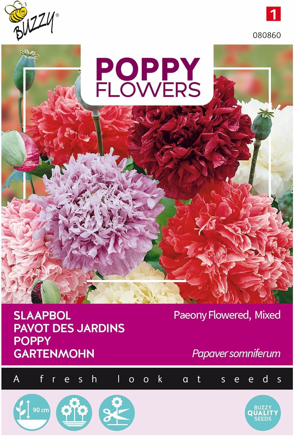 Fiori di papavero Buzzy Mac Paeoniflorum Gef. Mescolare.
