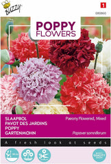 Fiori di papavero Buzzy Mac Paeoniflorum Gef. Mescolare.