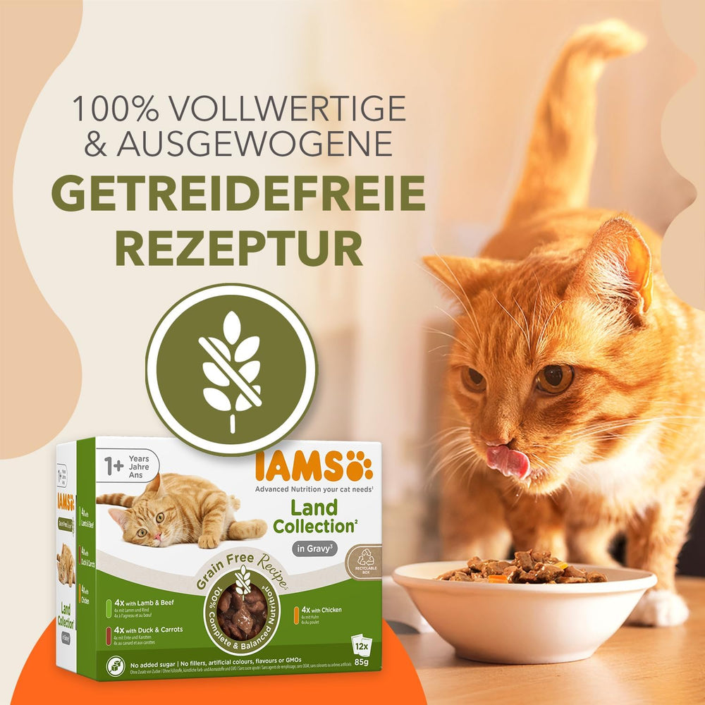 IAMS Delights Land Collection Hrană umedă pentru pisici fără cereale - Pachet multiplu cu varietăți de carne în sos, hrană umedă fără cereale pentru pisici de la 1 an, 12 x 85 g